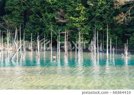 Autumn quiet pond and trees Autumn quiet pond and trees 66864410