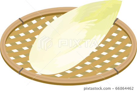 Chicory basket illustration 66864462