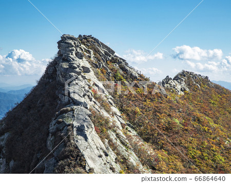 Autumn leaves in Hwangseoksan, Hamyang-gun, Gyeongnam, South Korea 66864640