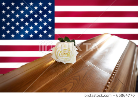 white rose on wooden coffin over flag of america-照片素材（圖片