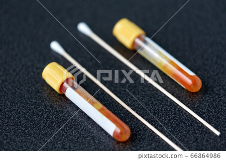 test tubes with blood plasma and cotton swabs test tubes with blood plasma and cotton swabs 66864986