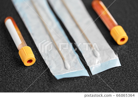 test tubes with blood plasma and cotton swabs test tubes with blood plasma and cotton swabs 66865364