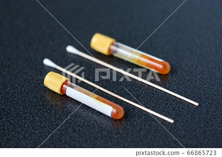 test tubes with blood plasma and cotton swabs 66865723