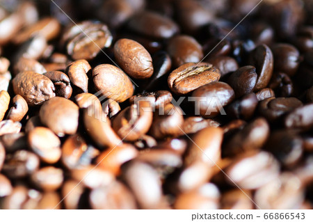 Soybean Uganda Soybean Uganda 66866543
