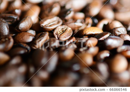 Soybean Uganda Soybean Uganda 66866546