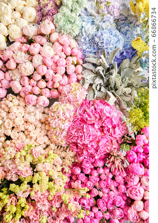Floral carpet or Wallpaper. Background of mix of flowers. Beautiful flowers for catalog or online store. Floral shop and delivery concept. Top view. Copy space Floral carpet or Wallpaper. Background of mix of flowers. Beautiful flowers for catalog or online store. Floral shop and delivery concept. Top view. Copy space 66866734