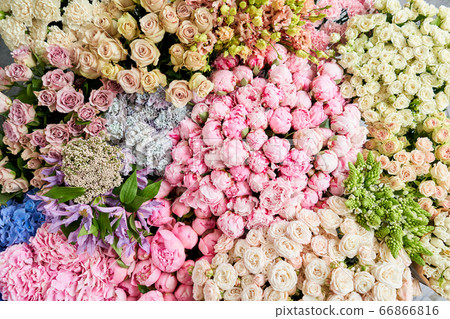 Floral carpet or Wallpaper. Background of mix of flowers. Beautiful flowers for catalog or online store. Floral shop and delivery concept. Top view. Copy space Floral carpet or Wallpaper. Background of mix of flowers. Beautiful flowers for catalog or online store. Floral shop and delivery concept. Top view. Copy space 66866816