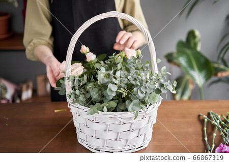 Floral shop concept . Florist woman creates flower arrangement in a wicker basket. Beautiful bouquet of mixed flowers. Handsome fresh bunch. Flowers delivery. Floral shop concept . Florist woman creates flower arrangement in a wicker basket. Beautiful bouquet of mixed flowers. Handsome fresh bunch. Flowers delivery. 66867319