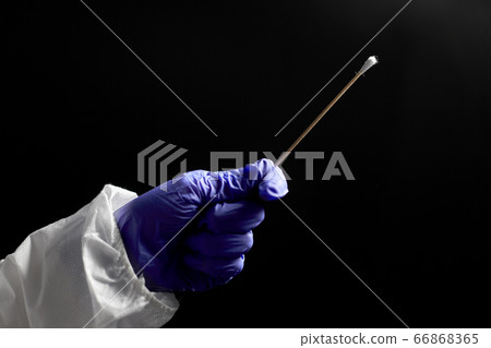 doctor's hand in medical glove holding cotton swab 66868365