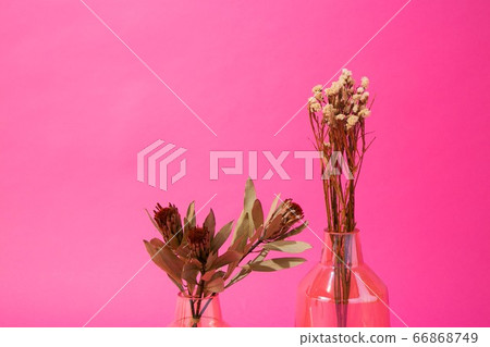 粉色後背造型 66868749