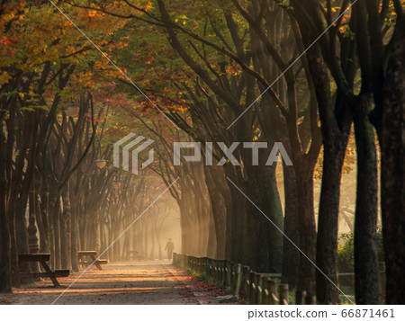Fall in Incheon Grand Park, Namdong-gu, Incheon, Korea 66871461