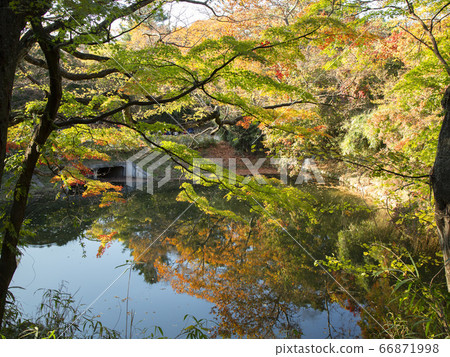 韓國慶州慶州市百洞南山佛國寺 66871998