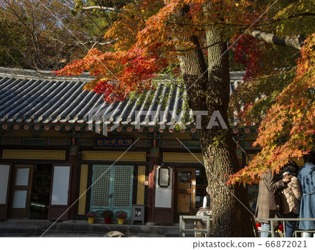 韓國慶州慶州市百洞南山佛國寺 韓國慶州慶州市百洞南山佛國寺 66872021