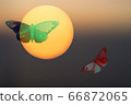 Abstract mystical background with unusual animals at sunset. Fantastic images and symbols. butterflies 66872065