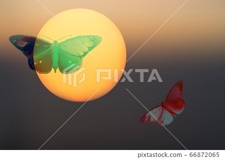 Abstract mystical background with unusual animals at sunset. Fantastic images and symbols. butterflies 66872065