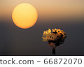 Abstract mystical background with unusual animals at sunset. Fantastic images and symbols. Tree 66872070