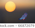 Abstract mystical background with unusual animals at sunset. Fantastic images and symbols. Owl 66872079
