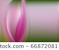 spring silk abstract background pink ash gives freshness and happiness. Feminine pink pattern 66872081