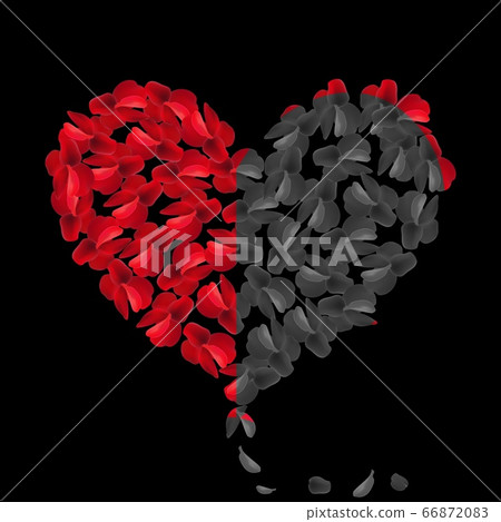 Heart red rose petals on Valentine day. scarlet Heart in love with roses. 66872083