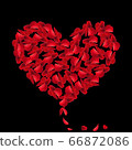 Heart red rose petals on Valentine day. scarlet Heart in love with roses. 66872086