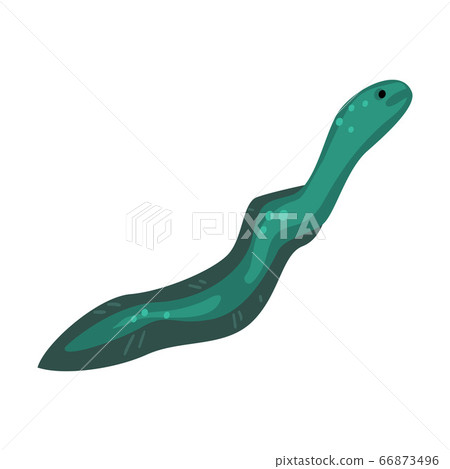 Eel Fish, Marine Life Element, Sea or Ocean Creature Vector Illustration Eel Fish, Marine Life Element, Sea or Ocean Creature Vector Illustration 66873496