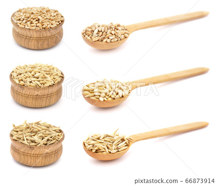 Wheat, barley, oat in wooden bowls and spoons Wheat, barley, oat in wooden bowls and spoons 66873914