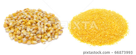 Corn grains and corn flour Corn grains and corn flour 66873993