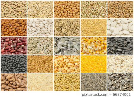 Cereals and basic food staple large collection Cereals and basic food staple large collection 66874001