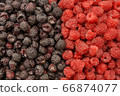 Blackberry and raspberry 66874077