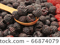 Blackberry and raspberry with wooden spoon 66874079