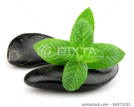 Black stone with leaves mint 66875281