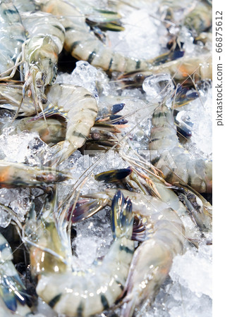 Fresh Prawn at seafood market Fresh Prawn at seafood market 66875612