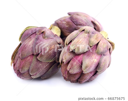 artichoke artichoke 66875675
