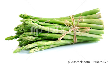 Asparagus Asparagus 66875676