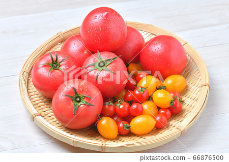 Tomato and cherry tomato, red and yellow. Image of vegetable harvest. 66876500