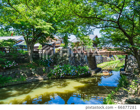 Omihachiman no Mizugo Hachimanbori 66877281