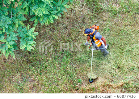 Worker in protective clothing mows tall grass 66877436