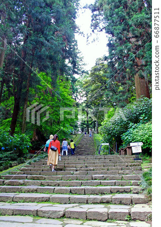 [Miyagi] Summer Sendai tourists on the Zuihoden approach 66877511