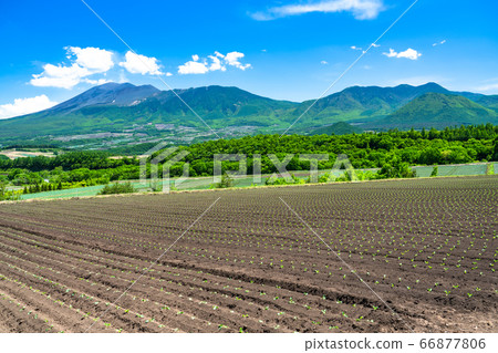 群馬縣 Mag戀村和白菜田的初夏景色 照片素材 圖片 圖庫