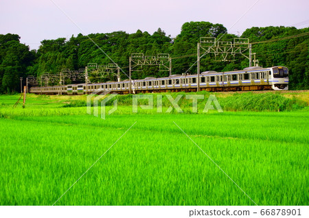 Fresh green Sobu line retired E217 series Fresh green Sobu line retired E217 series 66878901