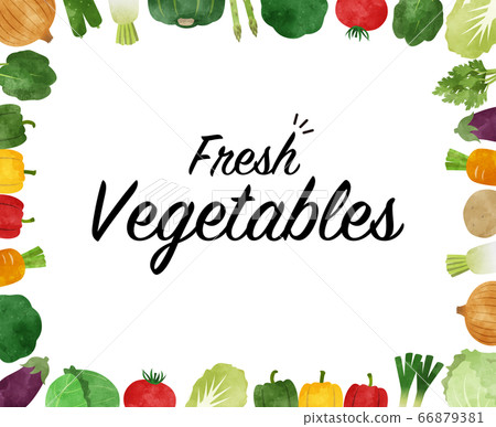 Vegetable watercolor frame 66879381