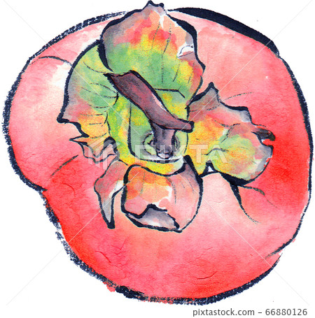 Persimmon Fruit (Red Ripe)-Picture Letter Style 66880126