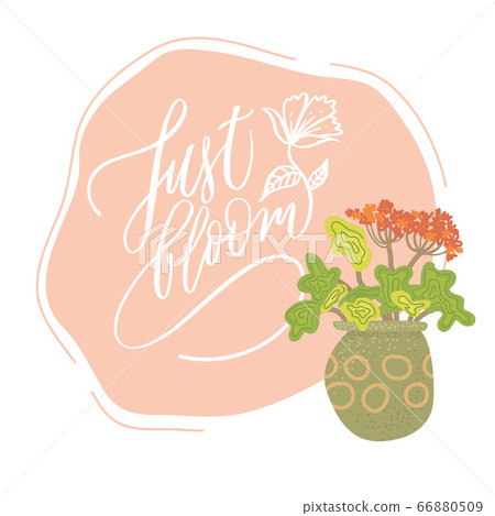 Just bloom - motivational, inspirational quote, 66880509