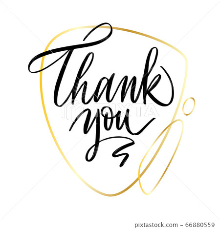 Thank you Hand drawn lettering. Calligraphic 66880559