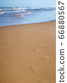 Footprints in sand at beach leading towards sea 66880567
