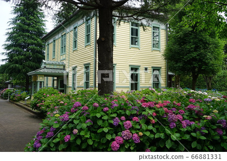 June 110 Fuchu 110 Hydrangea and the former Fuchu Town Hall/Local Forest Museum 66881331