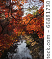 Waterside and autumn leaves 66881730