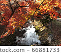 Waterside and autumn leaves 66881733