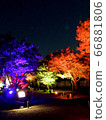 Autumn leaves lit up 66881806