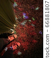 Autumn leaves lit up 66881807